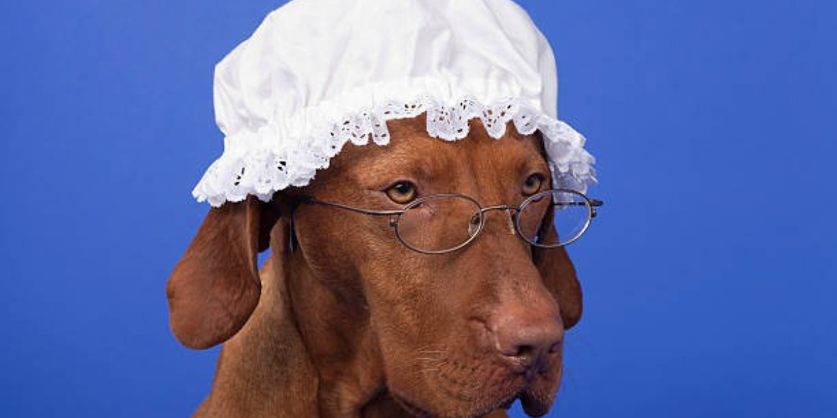 🌙 Comment mettre un bonnet de nuit correctement ?