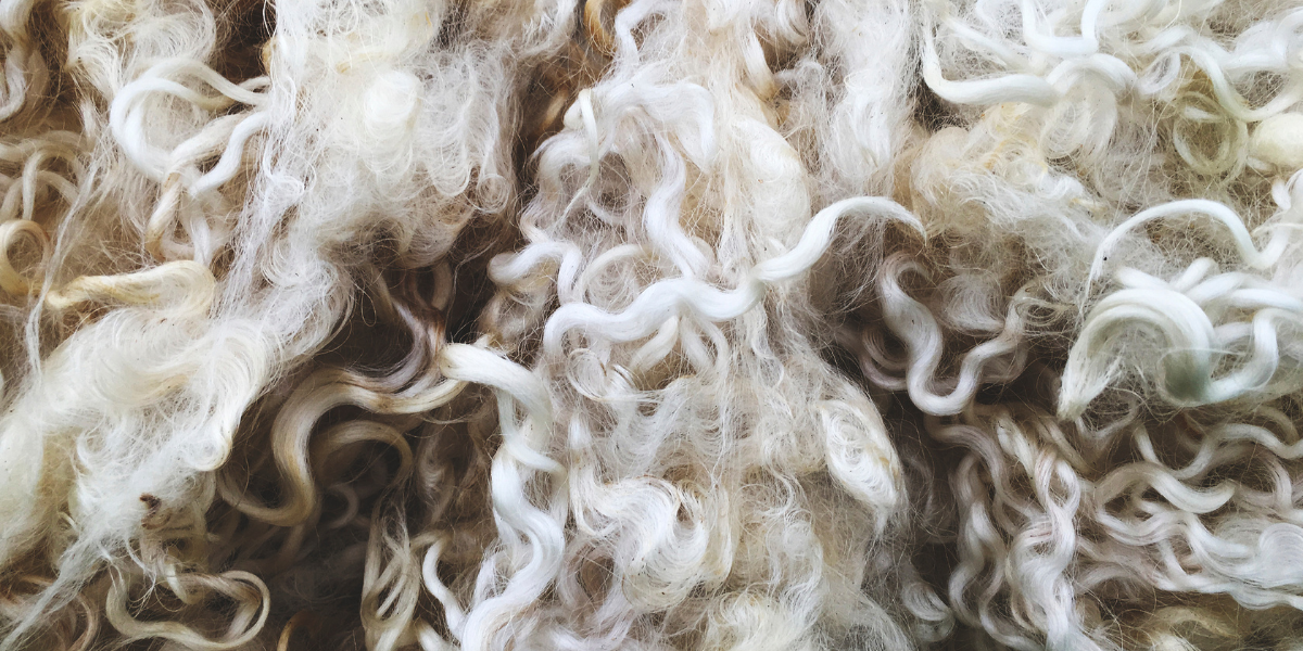 Perruque ou Complément Capillaire : Quelle est la meilleure solution pour la perte de cheveux ?