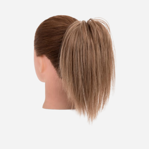 fausse-queue-de-cheval-courte