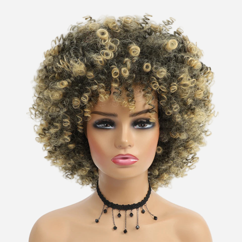 perruque-afro-cheveux-crepus