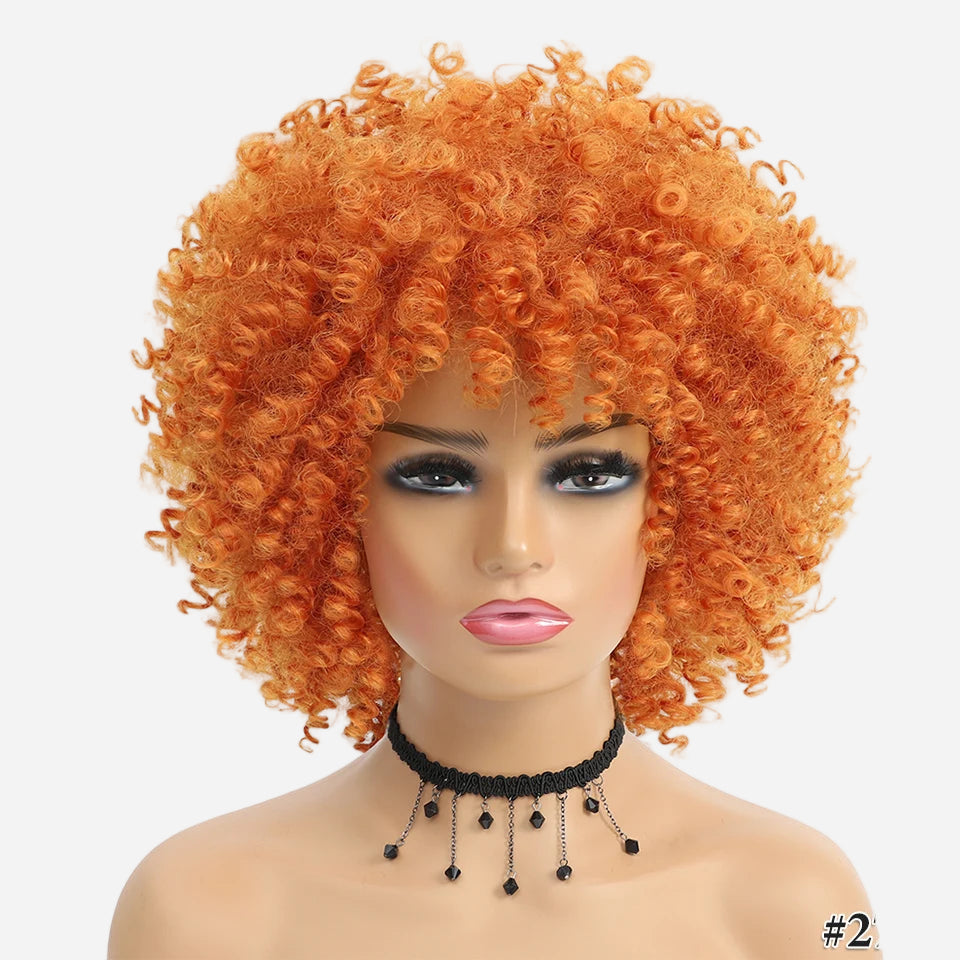 perruque-afro-pour-carnaval