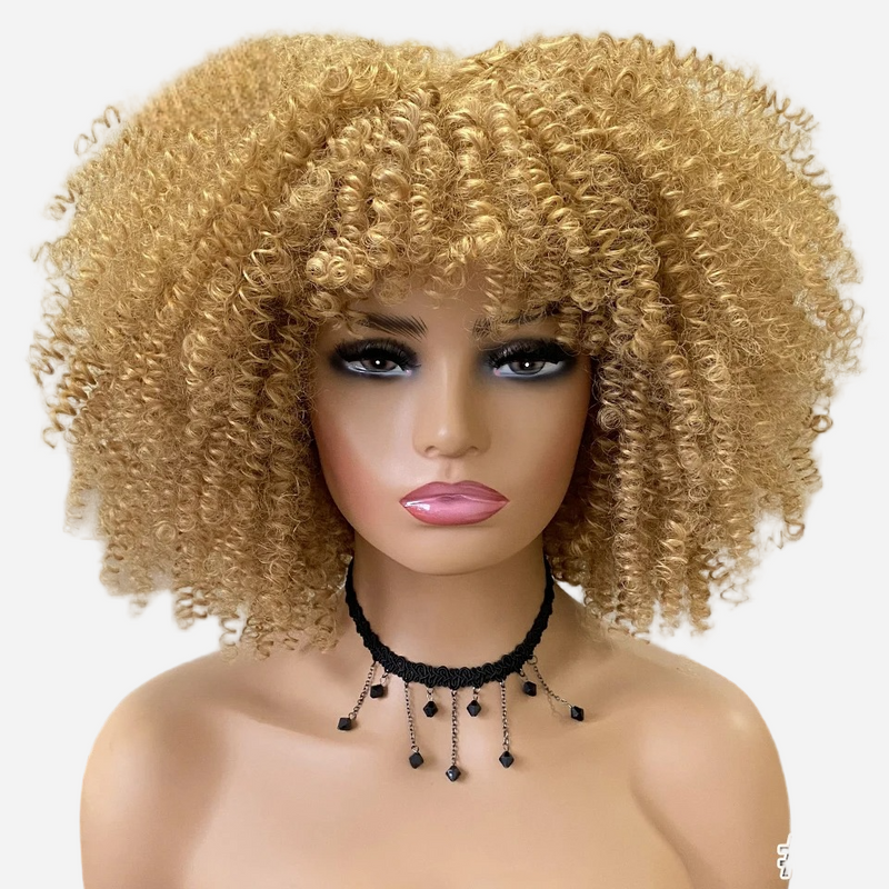 perruque-afro-pour-deguisement