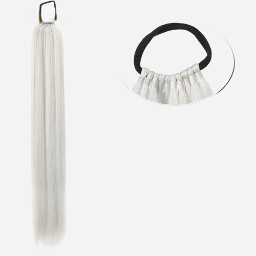 queue-de-cheval-cheveux-gris