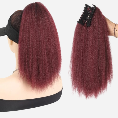 queue-de-cheval-cheveux-long