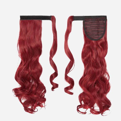 queue-de-cheval-cheveux