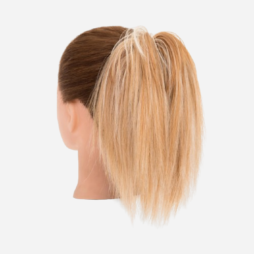 queue-de-cheval-courte