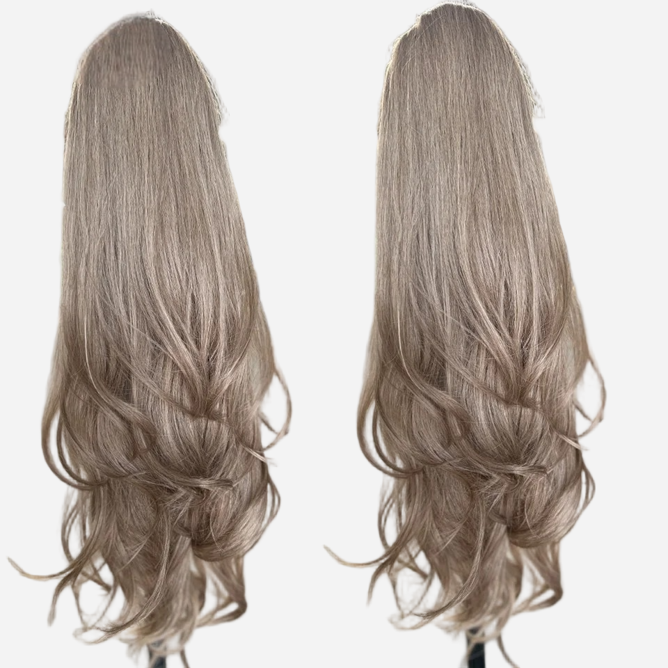 queue-de-cheval-degrade