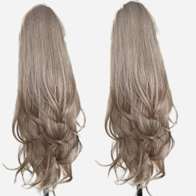 queue-de-cheval-degrade