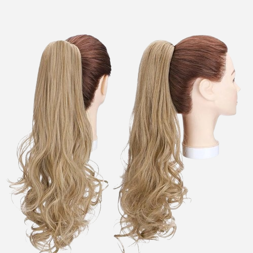 queue-de-cheval-longue-extension