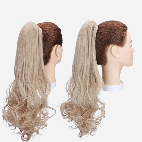 queue-de-cheval-tres-longue